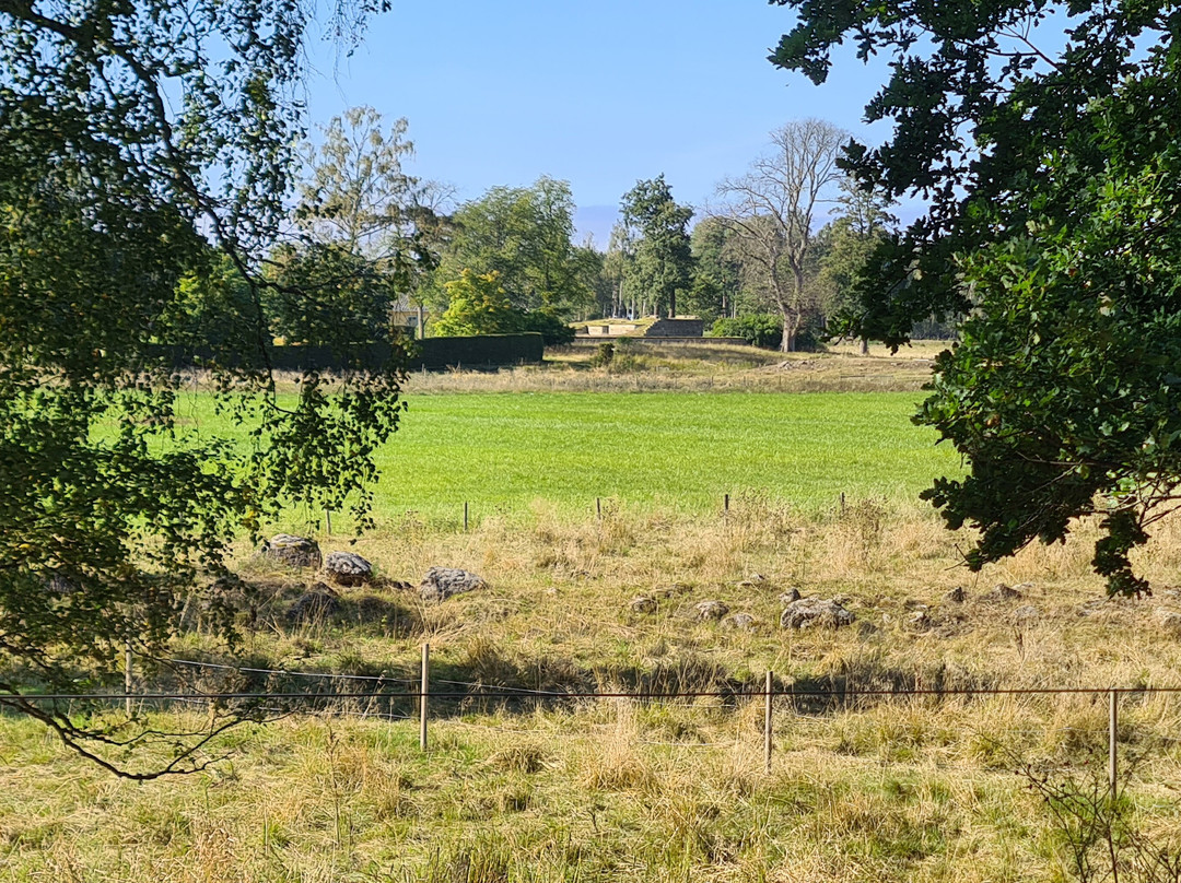 Aranäs Borgruin-Mariestad必去景点