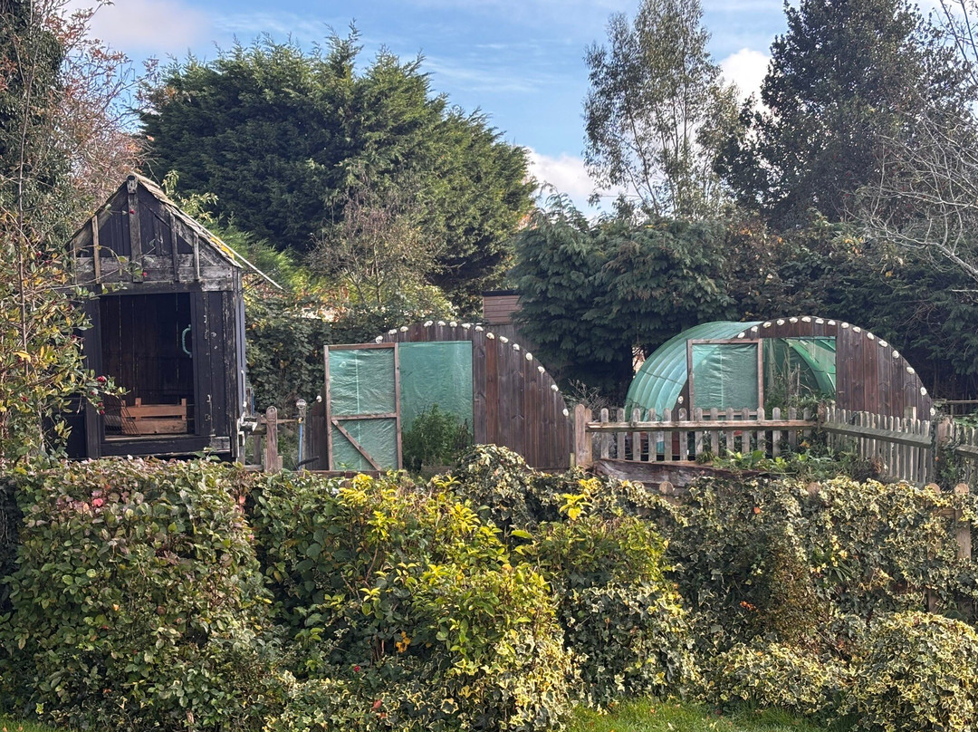 The New Flying Horse Bar-Wye必去景点