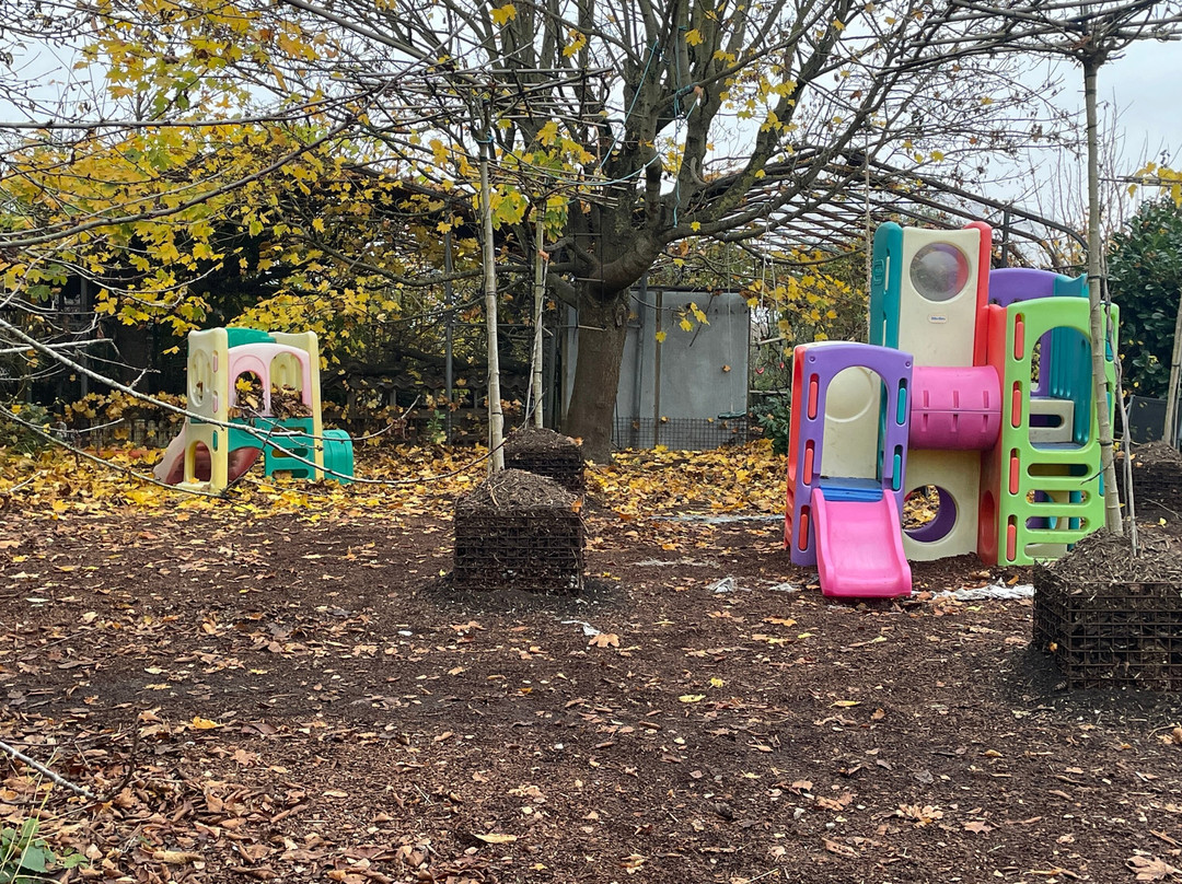 Monkey World-希勒洛必去景点