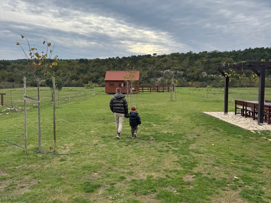 Ranch Novaković-Cilipi必去景点