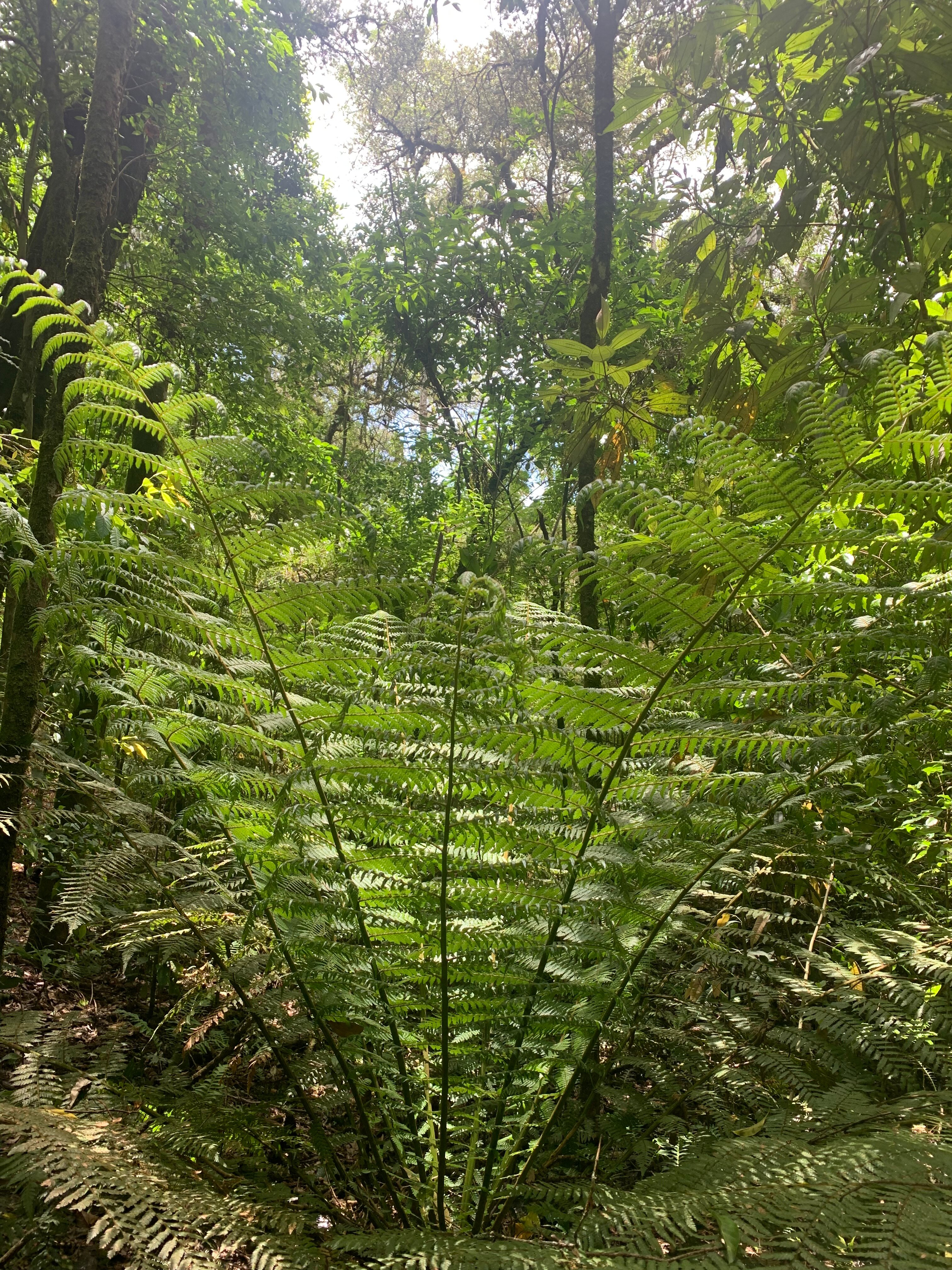 Mirante Da Colyna Hotel & Spa-官方