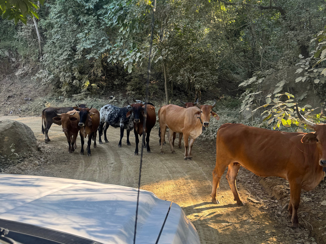 Eco Ride Mountain Bike & Hiking Tours-瓦拉塔港必去景点