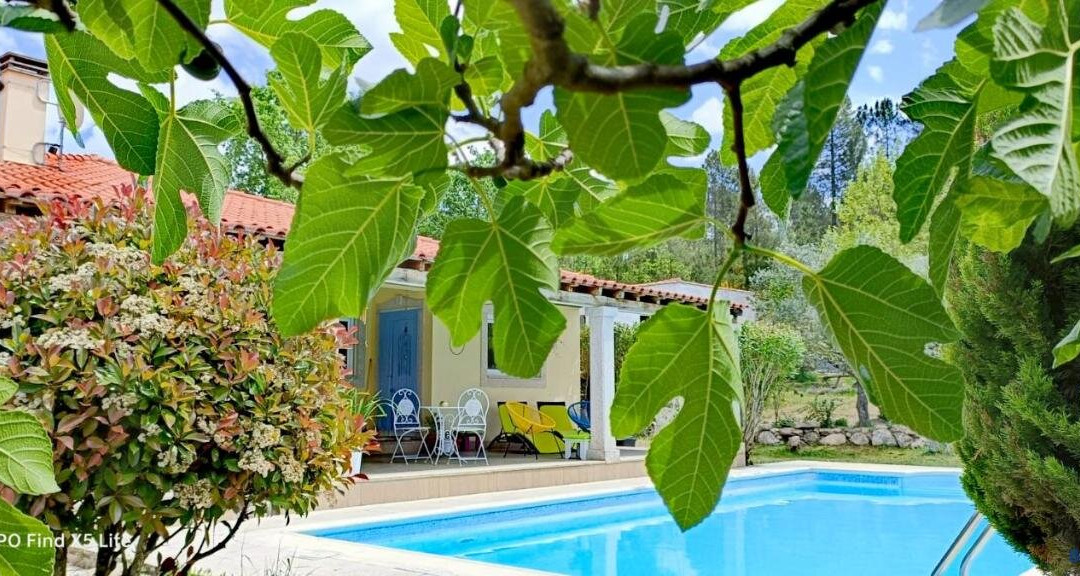 Sernancelhe酒店住宿-Casinha Siberiana