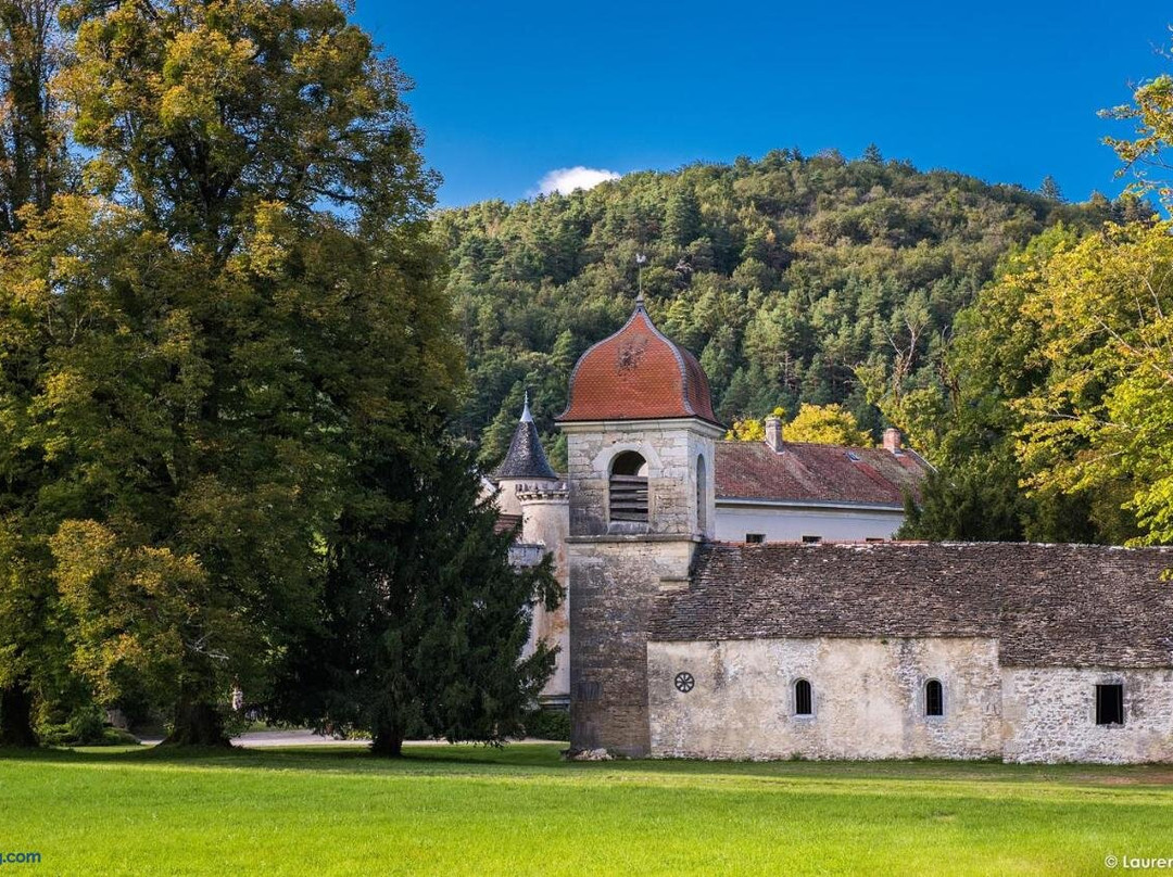 Chevillard酒店住宿-Chateau De Maillat