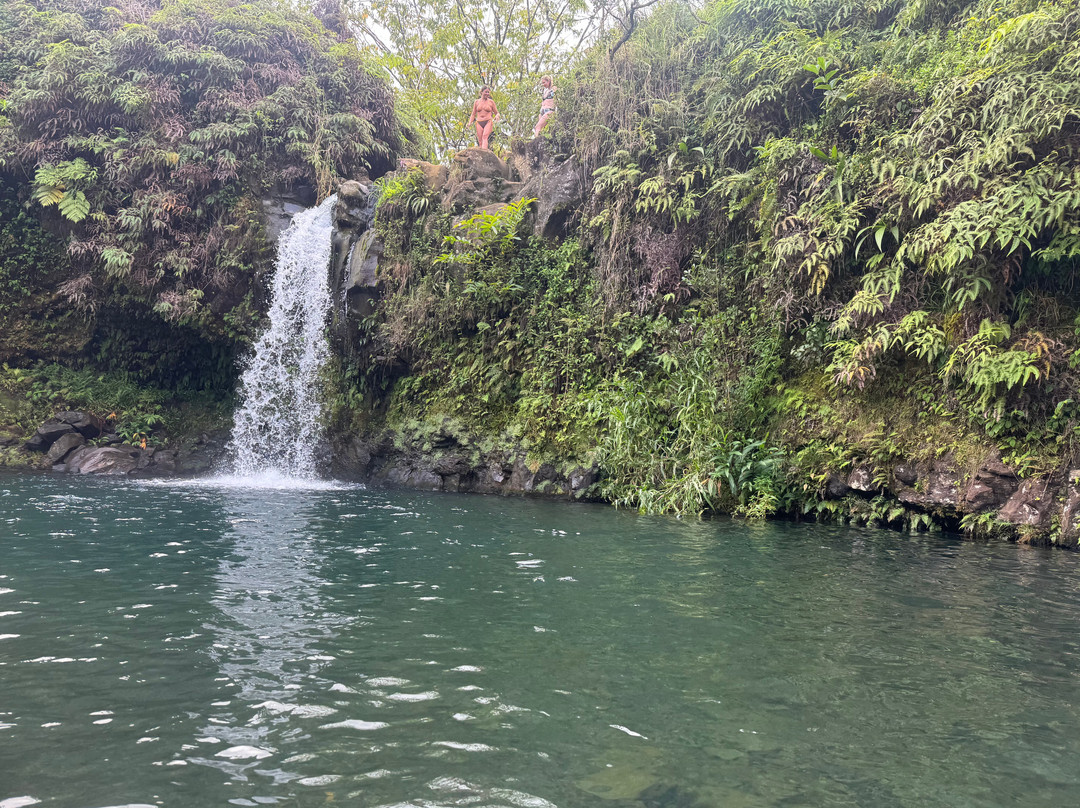 Hawaii Tours-火奴鲁鲁必去景点