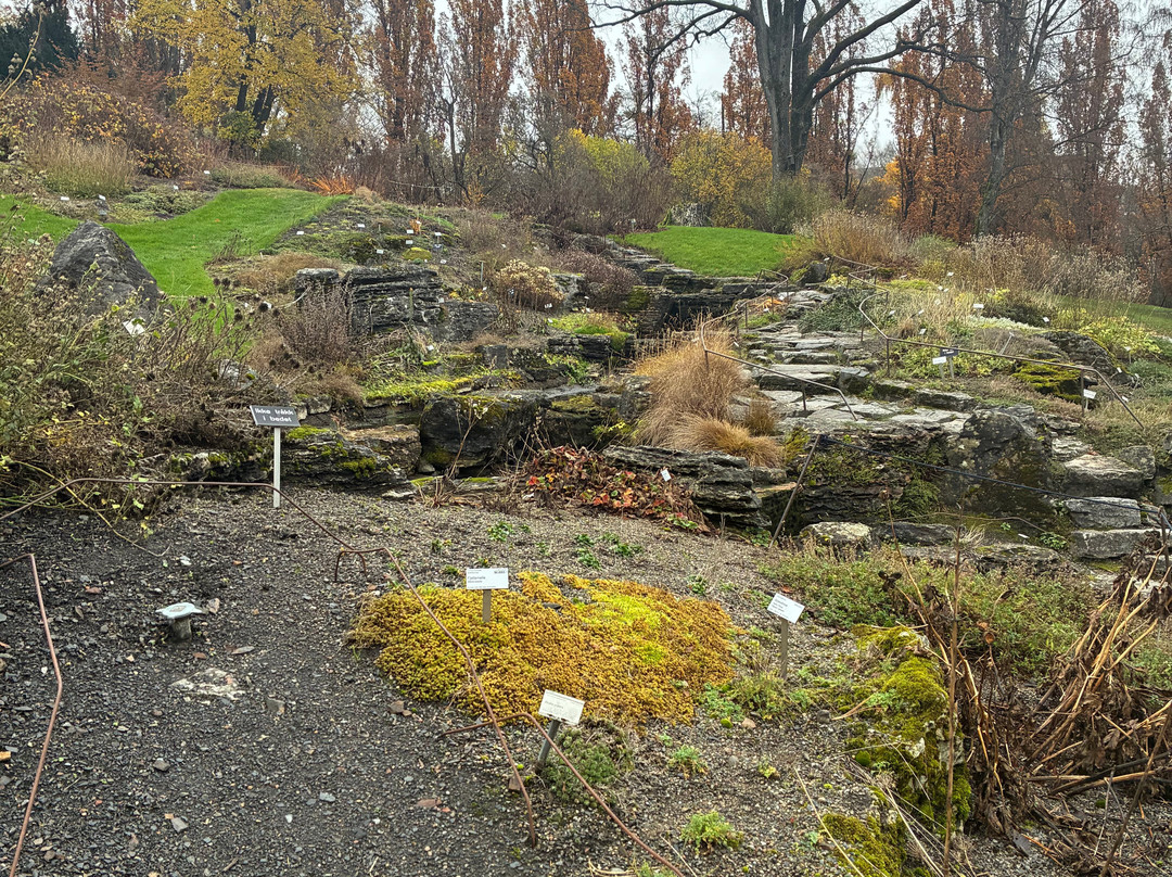 Botanical Garden-奥斯陆必去景点