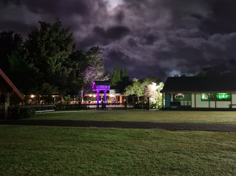 Te Puia-罗托鲁瓦必去景点