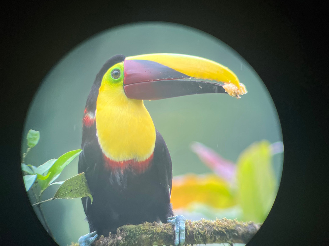 Pizote Tours-Boca Tapada必去景点