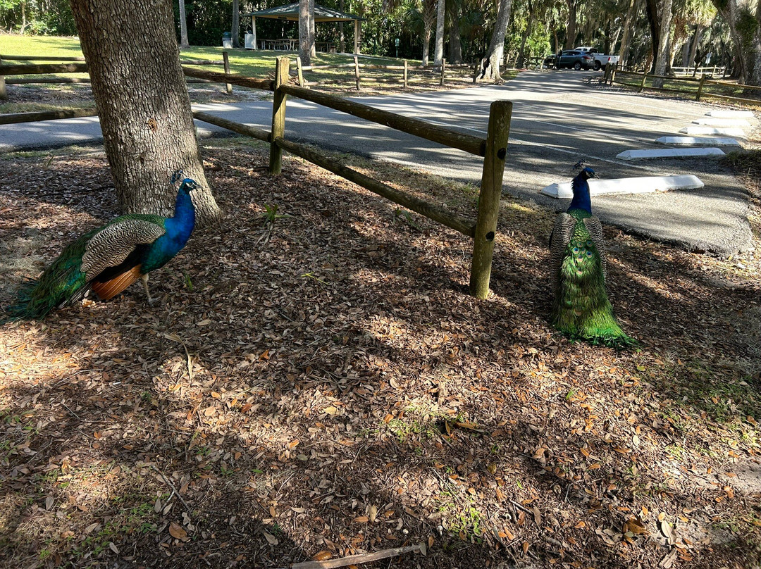 Magnolia Park-Apopka必去景点