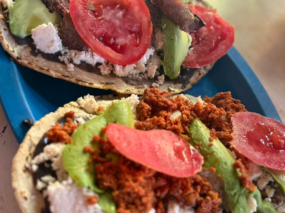 Oaxaca Experience Tours-瓦哈卡必去景点