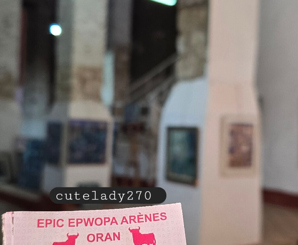 Arène d'Eckmuhl-奥兰必去景点