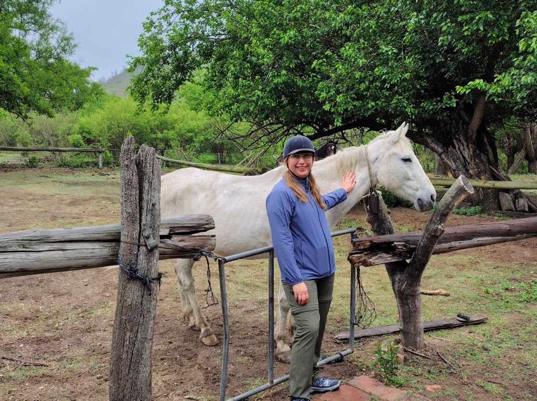 Cabalgatas Gauchas-萨尔塔必去景点
