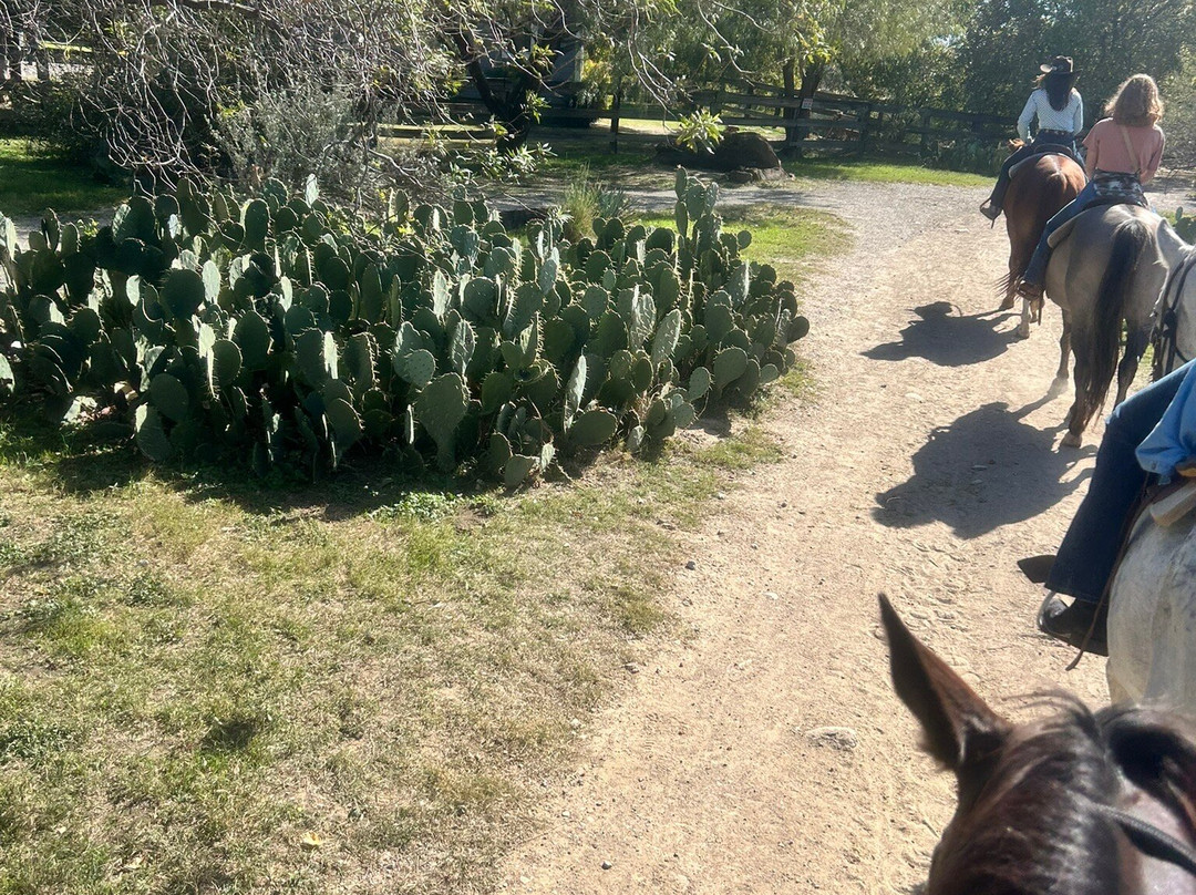 Fort Worth Stockyard Stables-沃思堡必去景点