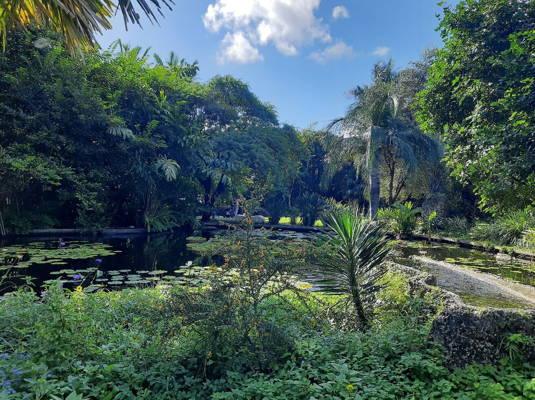 Miami Beach Botanical Garden-迈阿密海滩必去景点
