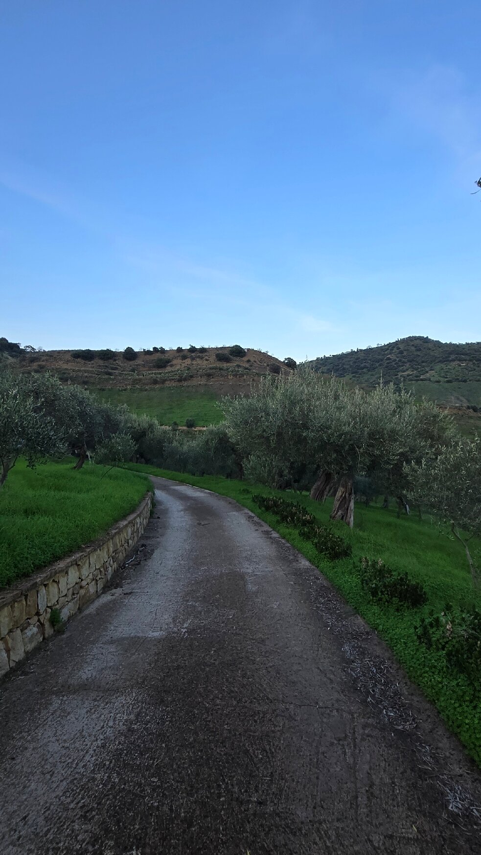 Agriturismo Bergi-官方