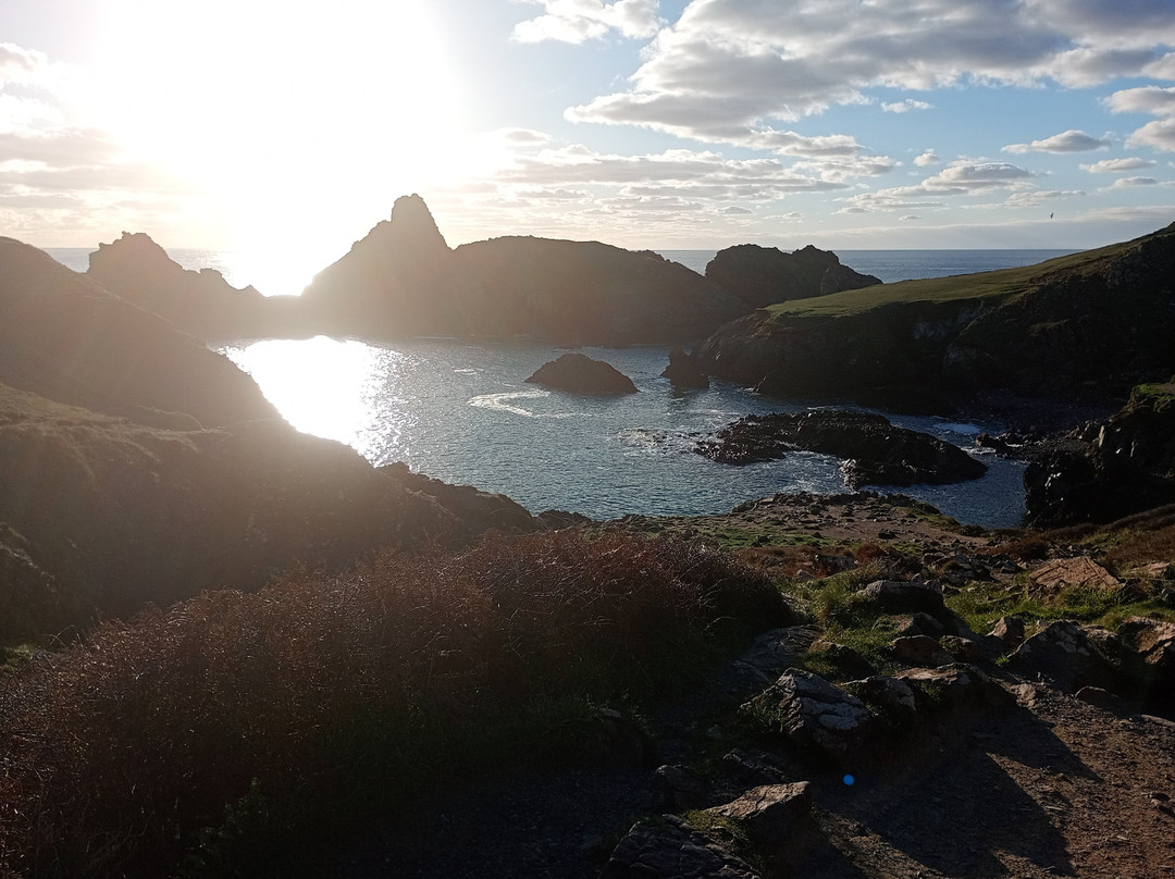 Kynance Cove from Lizard Green Walk-Lizard必去景点