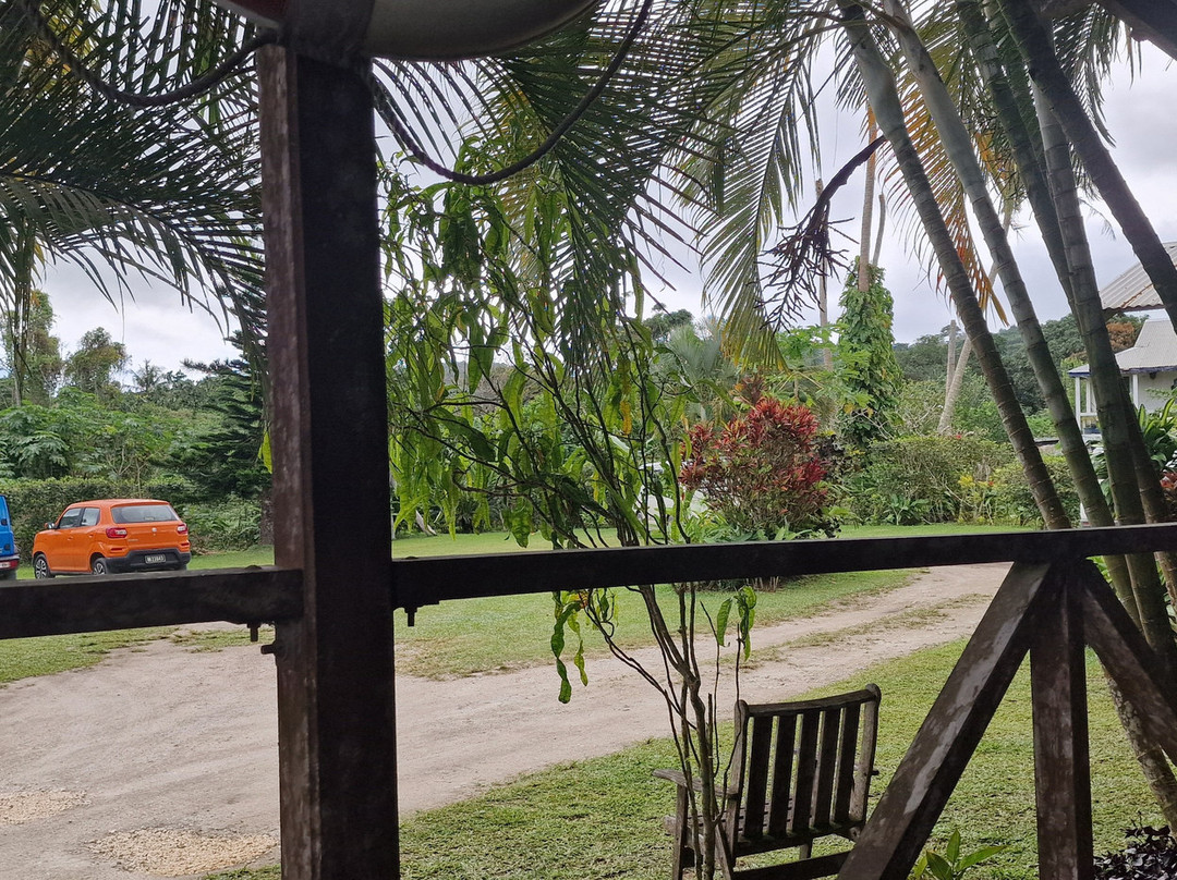 Tanna Coffee-维拉港必去景点