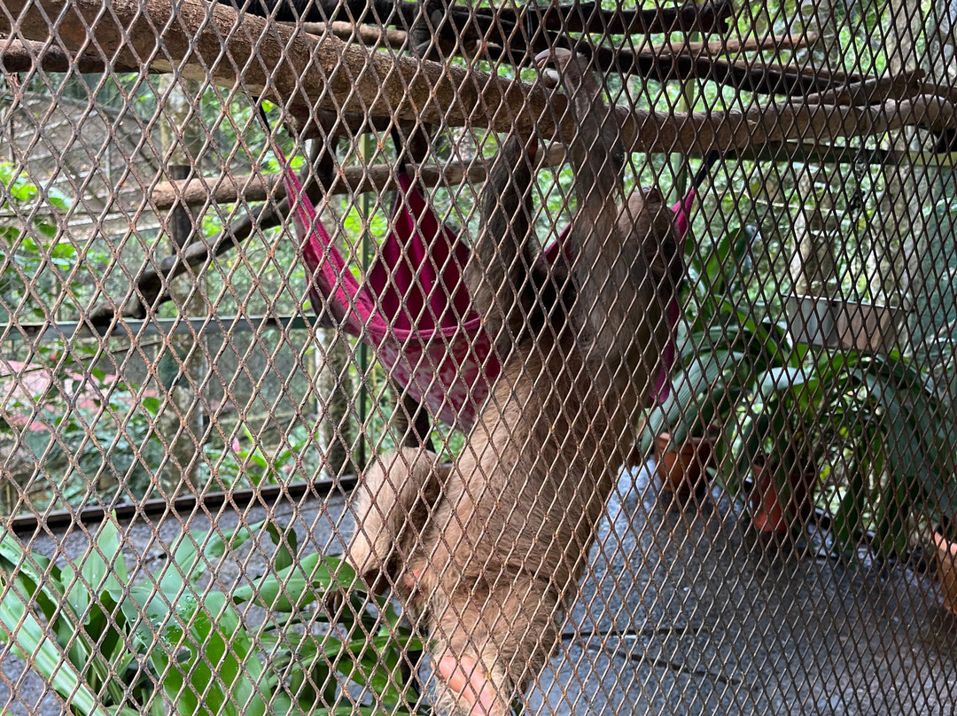 Kids Saving the Rainforest-克波斯必去景点