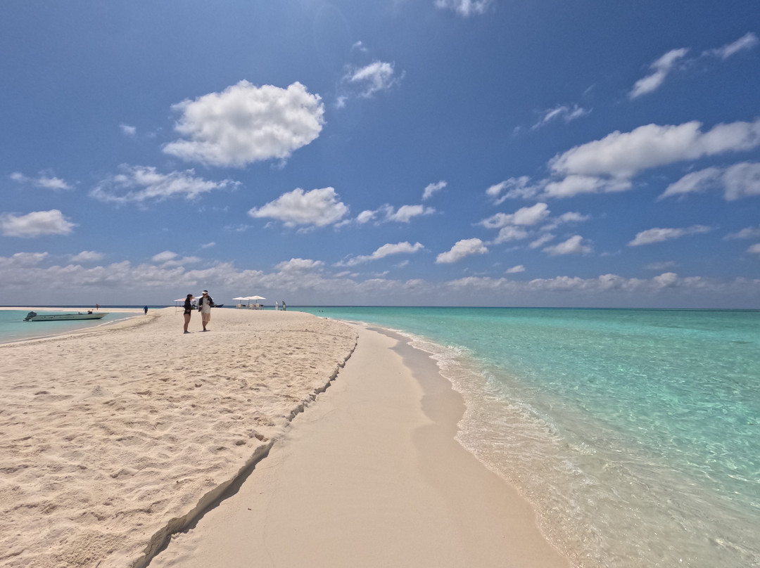 Into the Blue Lodge主图