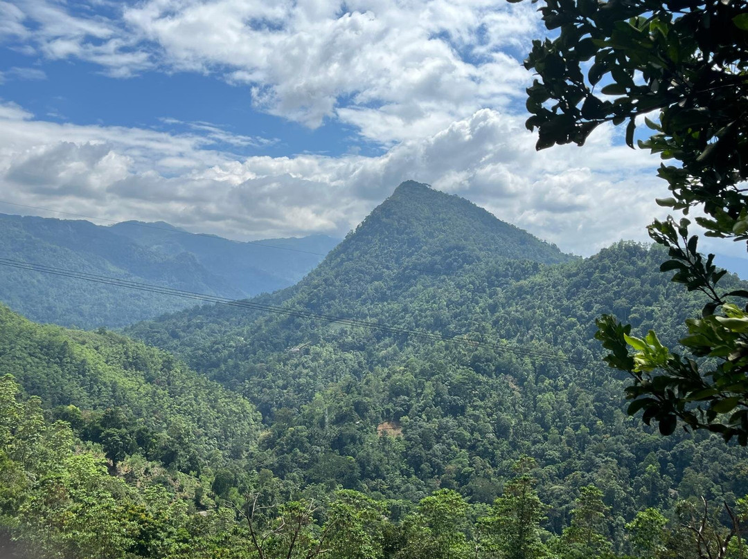 Moksha At Kitulgala主图