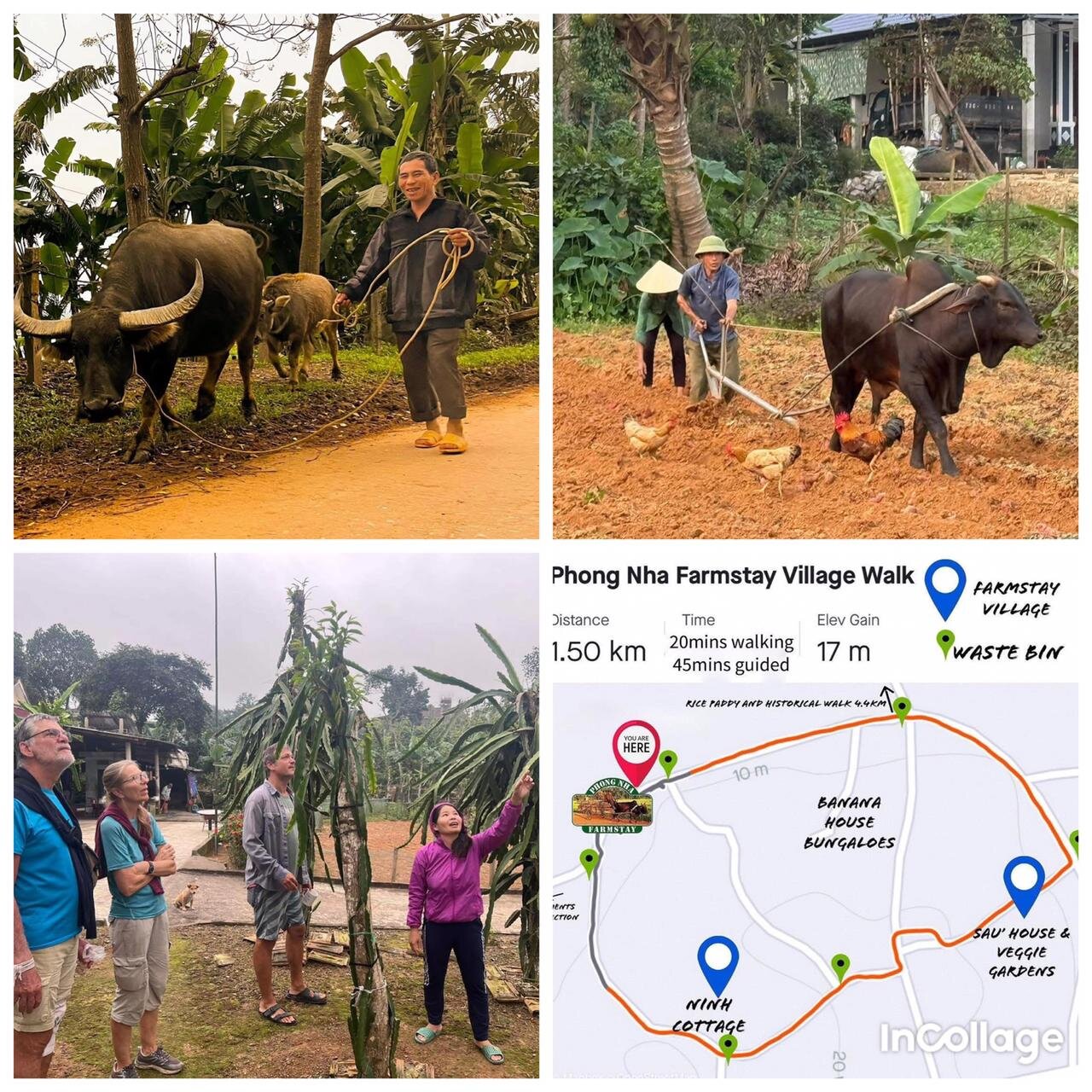 Phong Nha Farmstay-浴室