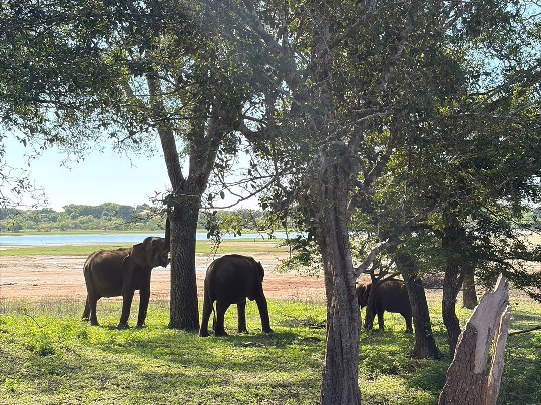 Freedom Safari Jeep Tours-蒂瑟默哈拉默必去景点
