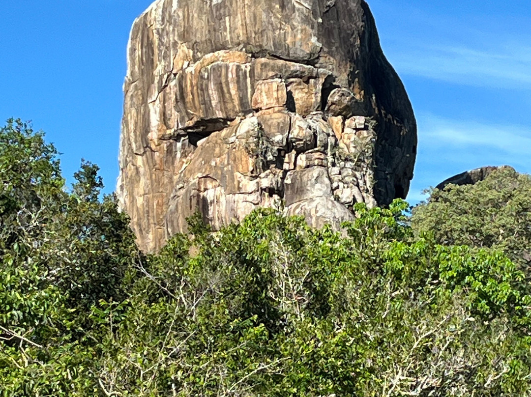 Capital Lanka Tours-科伦坡必去景点