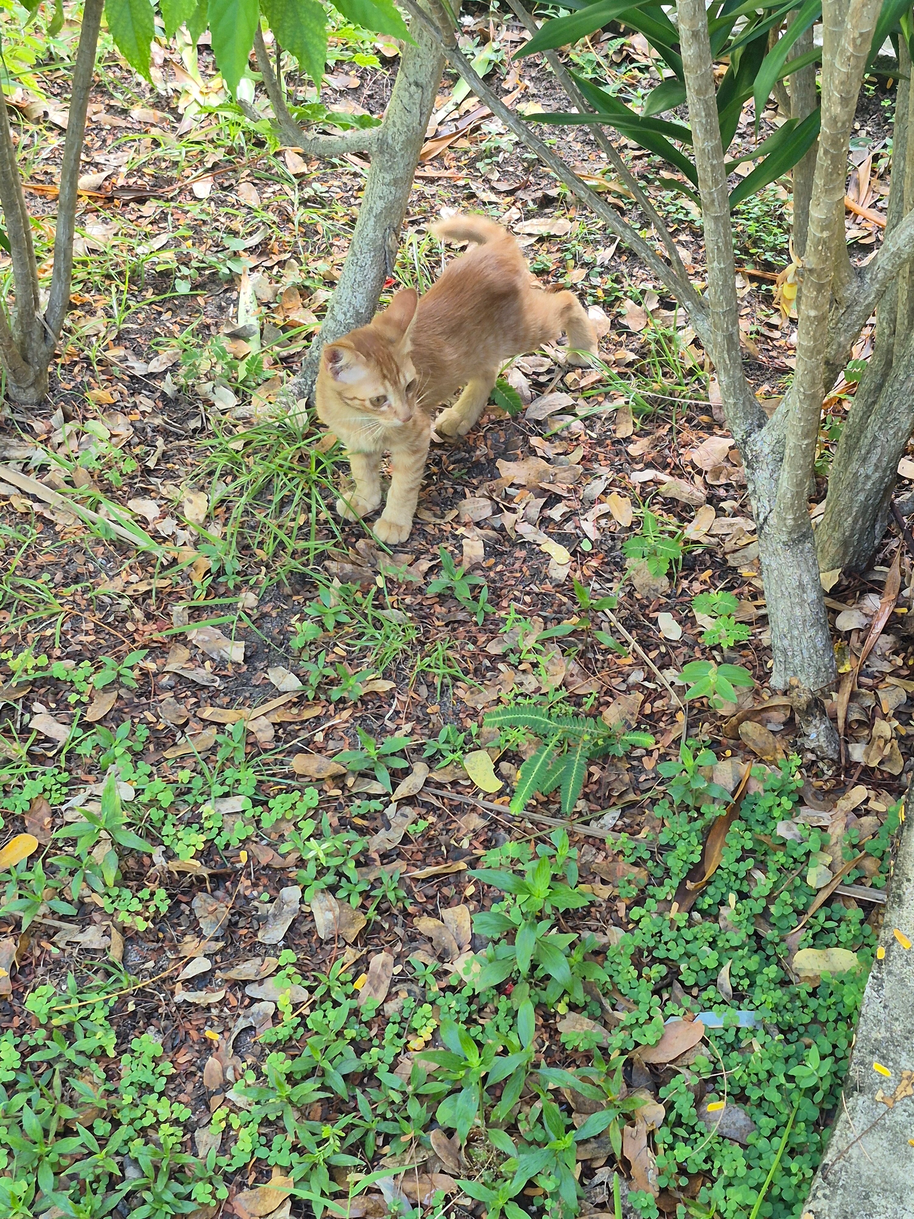 赤道村酒店-官方