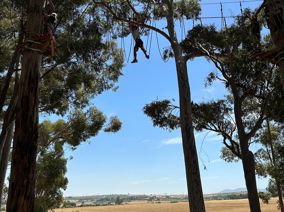 Acrobranch Stellenbosch-斯泰伦博斯必去景点