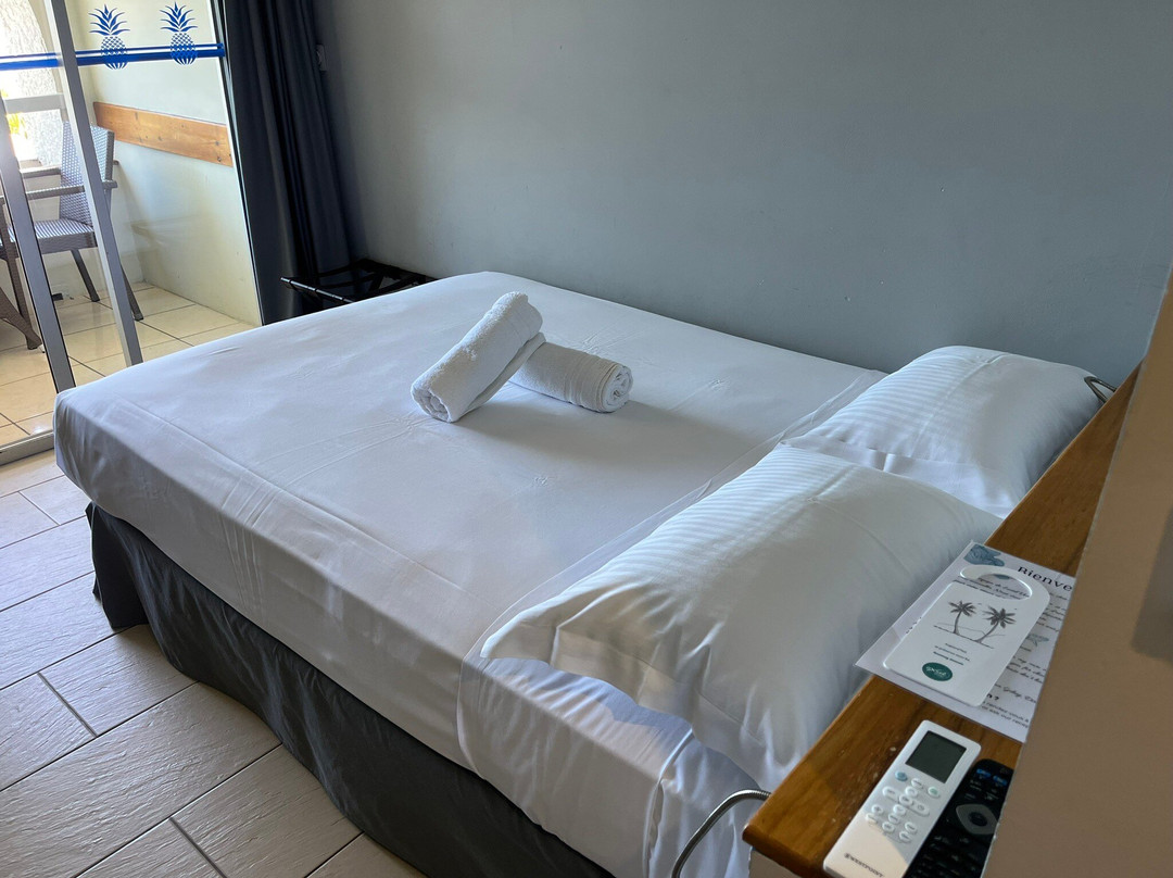 勒维多利亚酒店主图