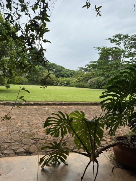 Huntingdon House-官方