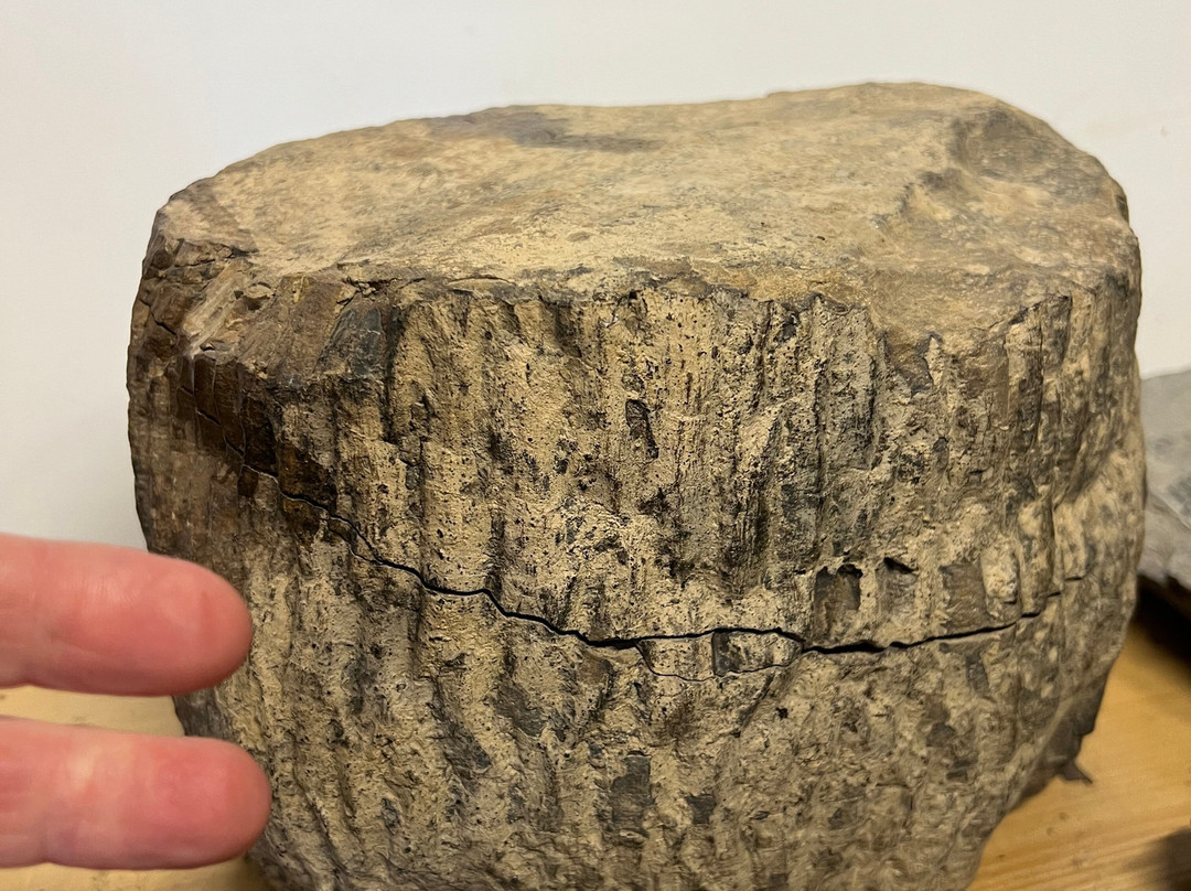 Stori Brymbo-雷克瑟姆必去景点