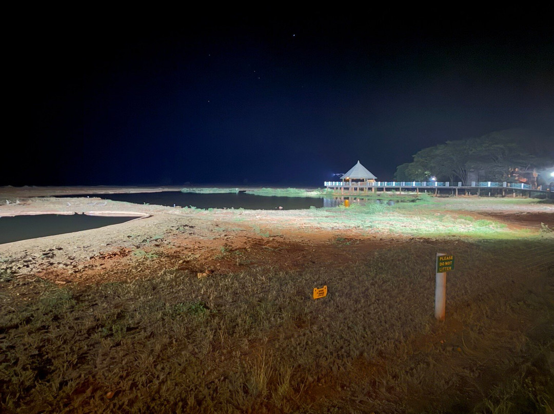 Agenzia Safari Vera Africa-东察沃国家公园必去景点