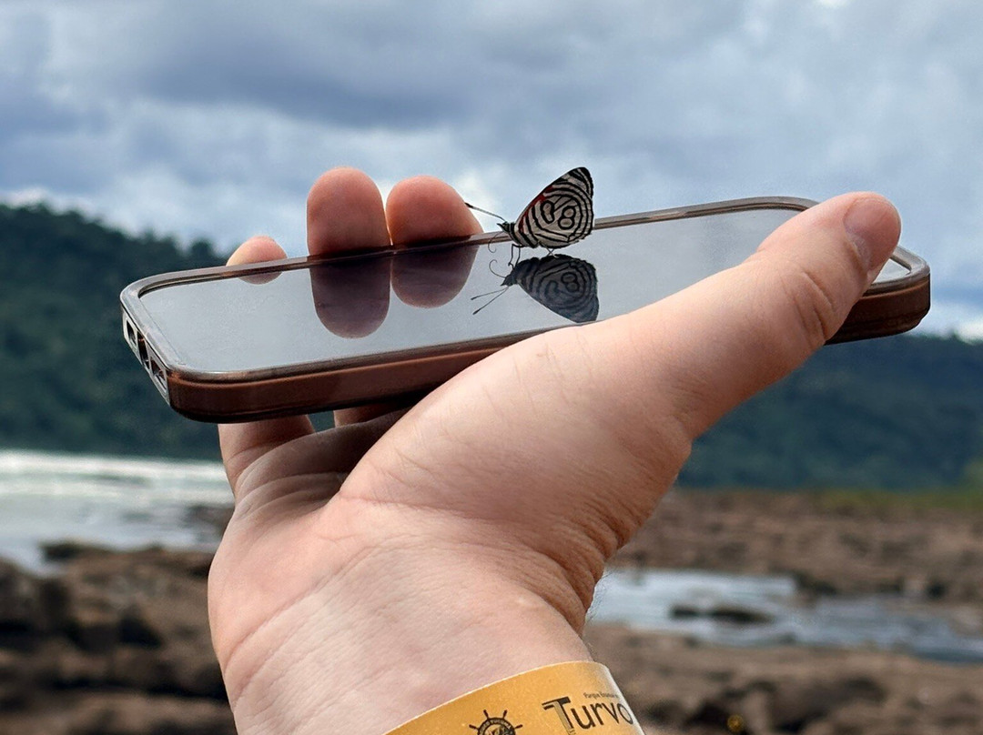 State Park of Turvo-Derrubadas必去景点