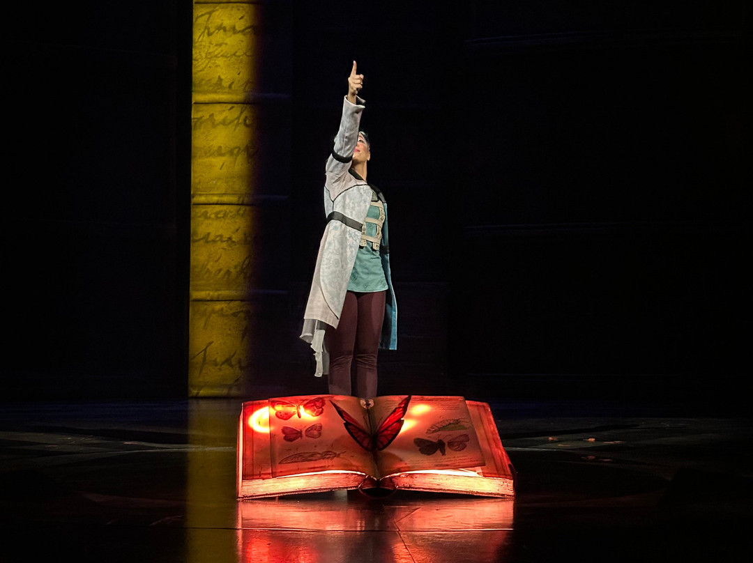 Cirque du Soleil Joyà-普拉亚德尔卡曼必去景点