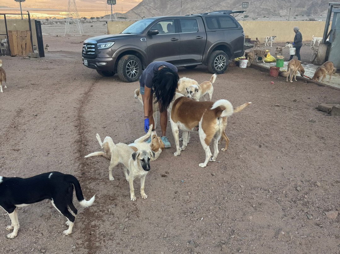 Al Rabee Society For Nature And Animal Protection-亚喀巴必去景点