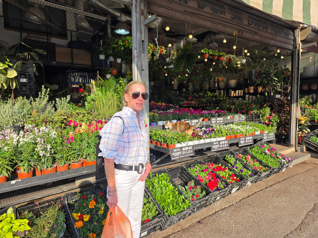 Dafna Koren Cohen - Private Tour Guide-雷霍沃特必去景点