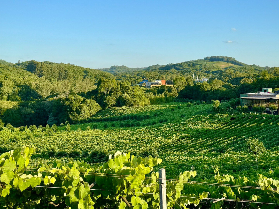 Pipas Terroir Pousada主图