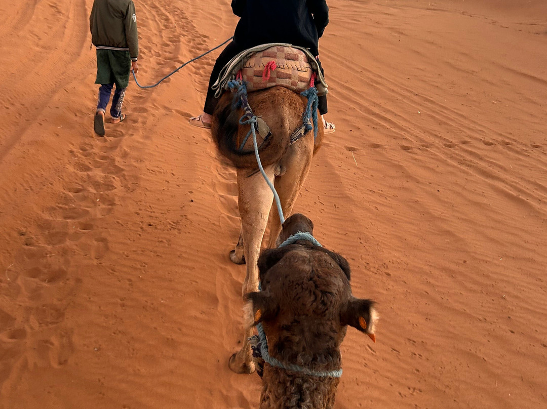 Loud Sahara Day Tours-扎古拉必去景点