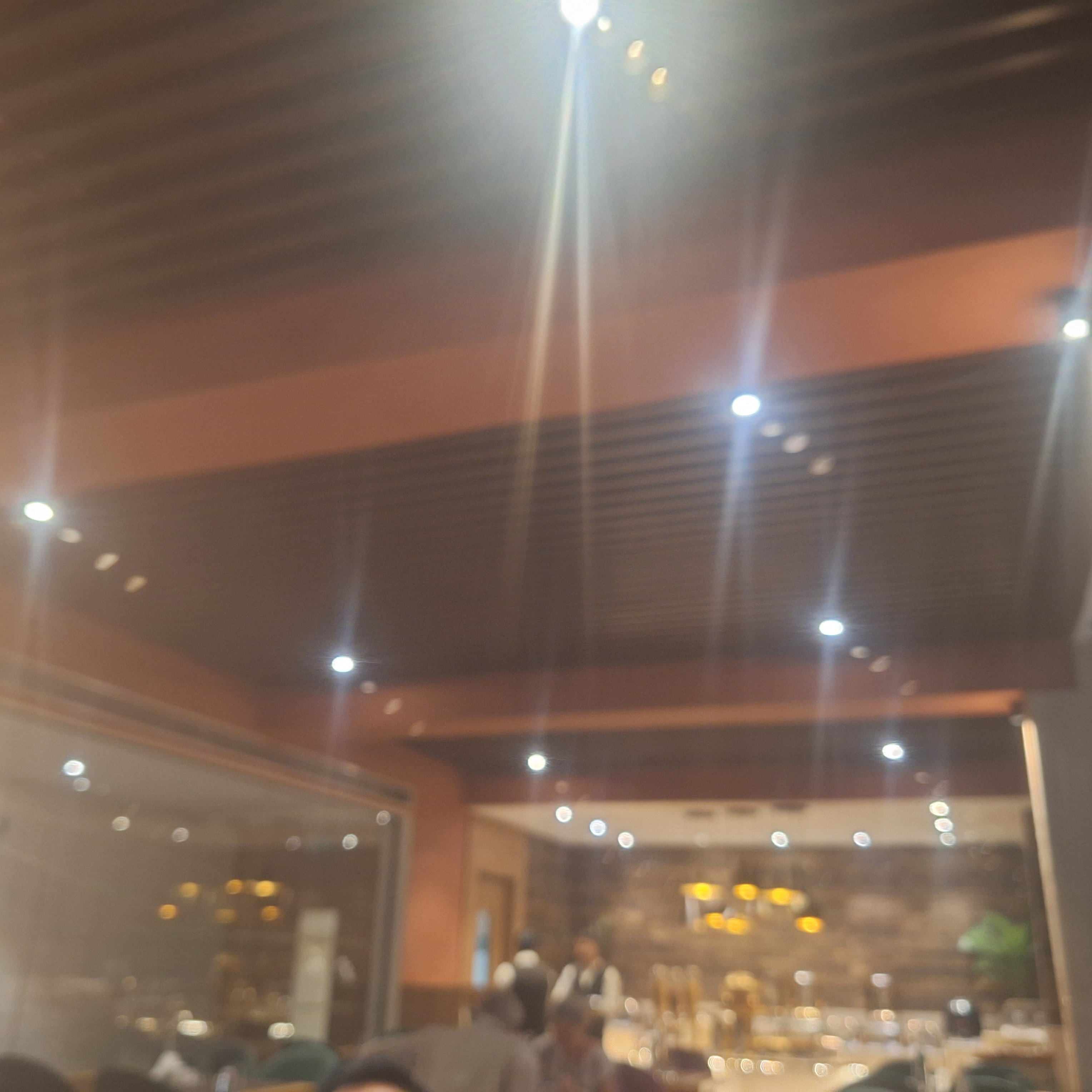 Royale Sarovar Portico-官方