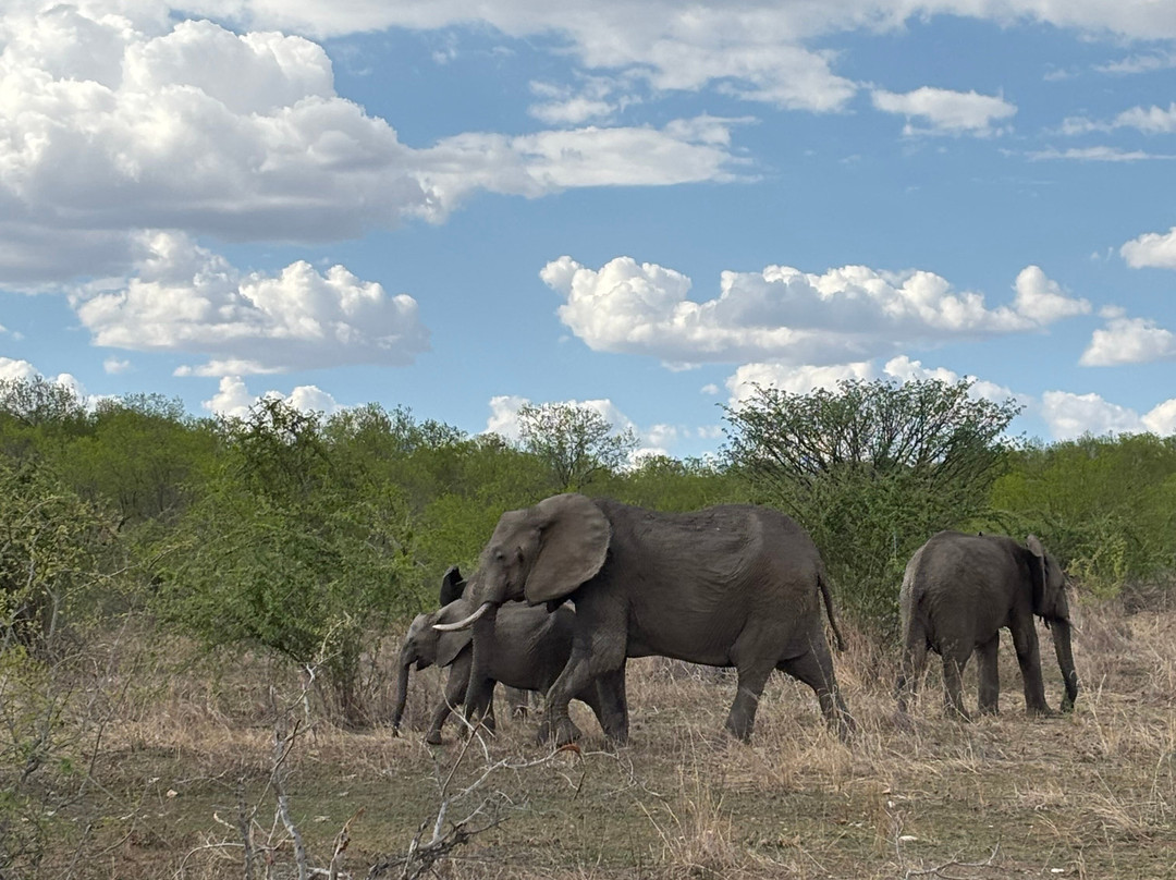 Sam safari & tours-Iringa必去景点