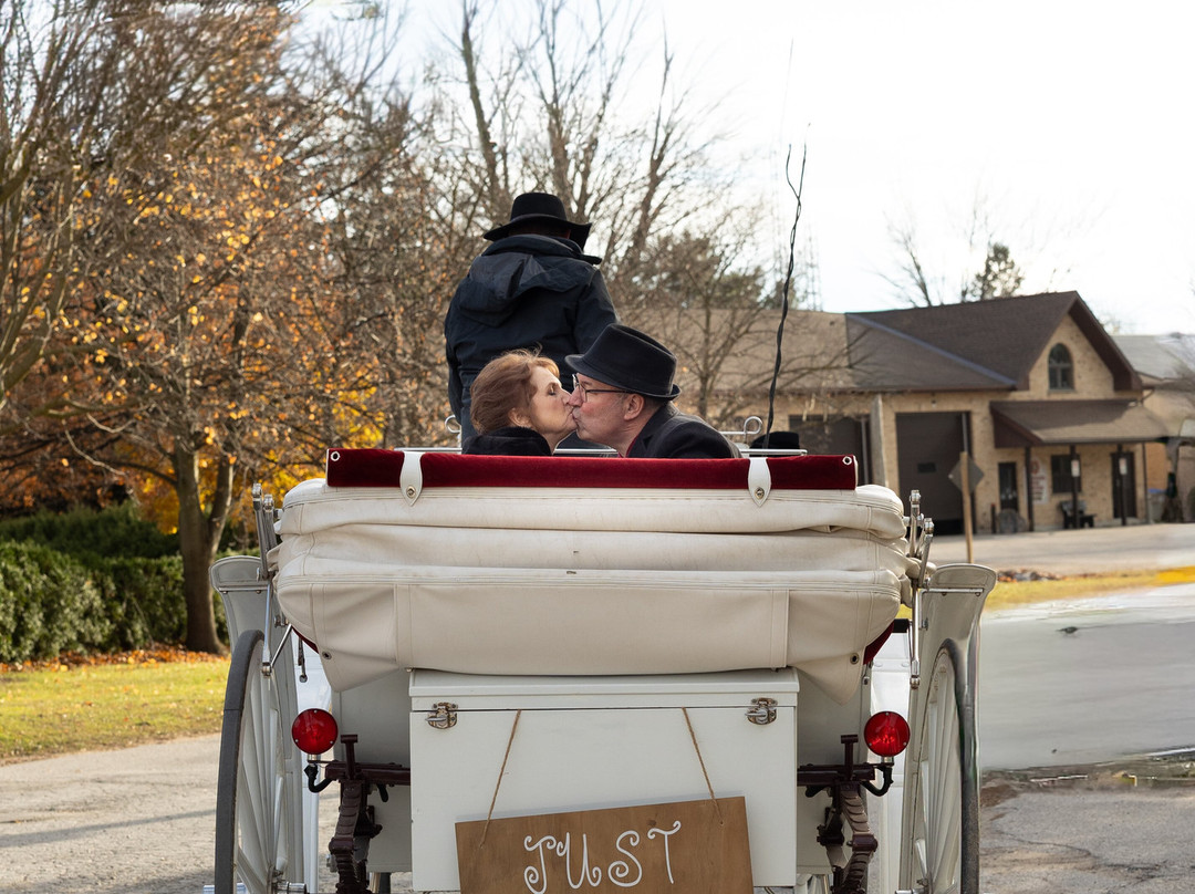 Bayfield Boutique Bed and Breakfast主图