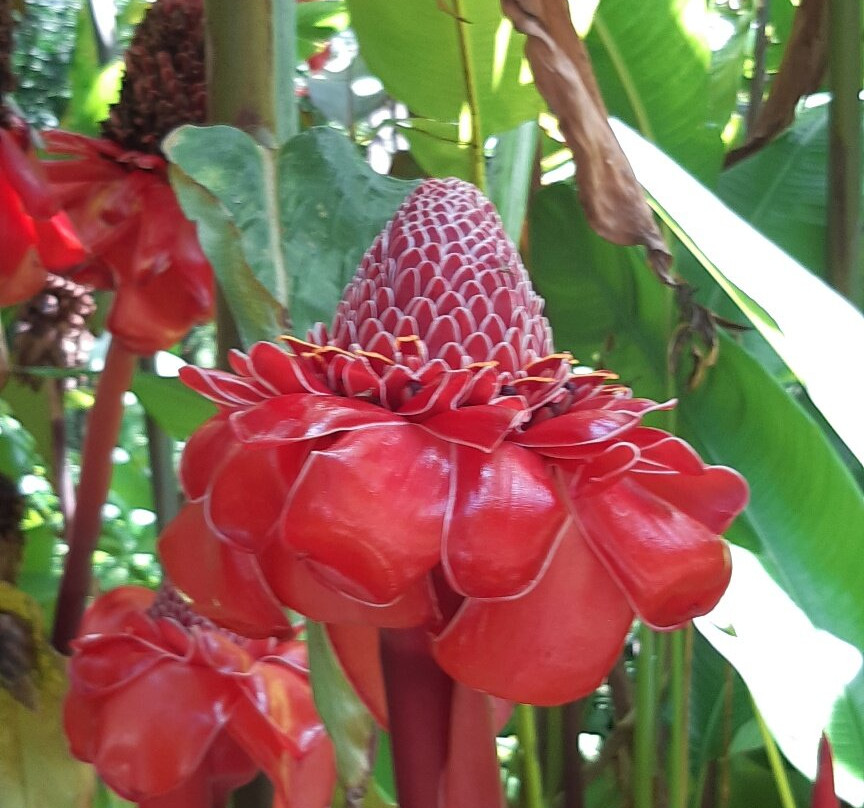 Jardin d'Eden-圣吉尔莱班必去景点