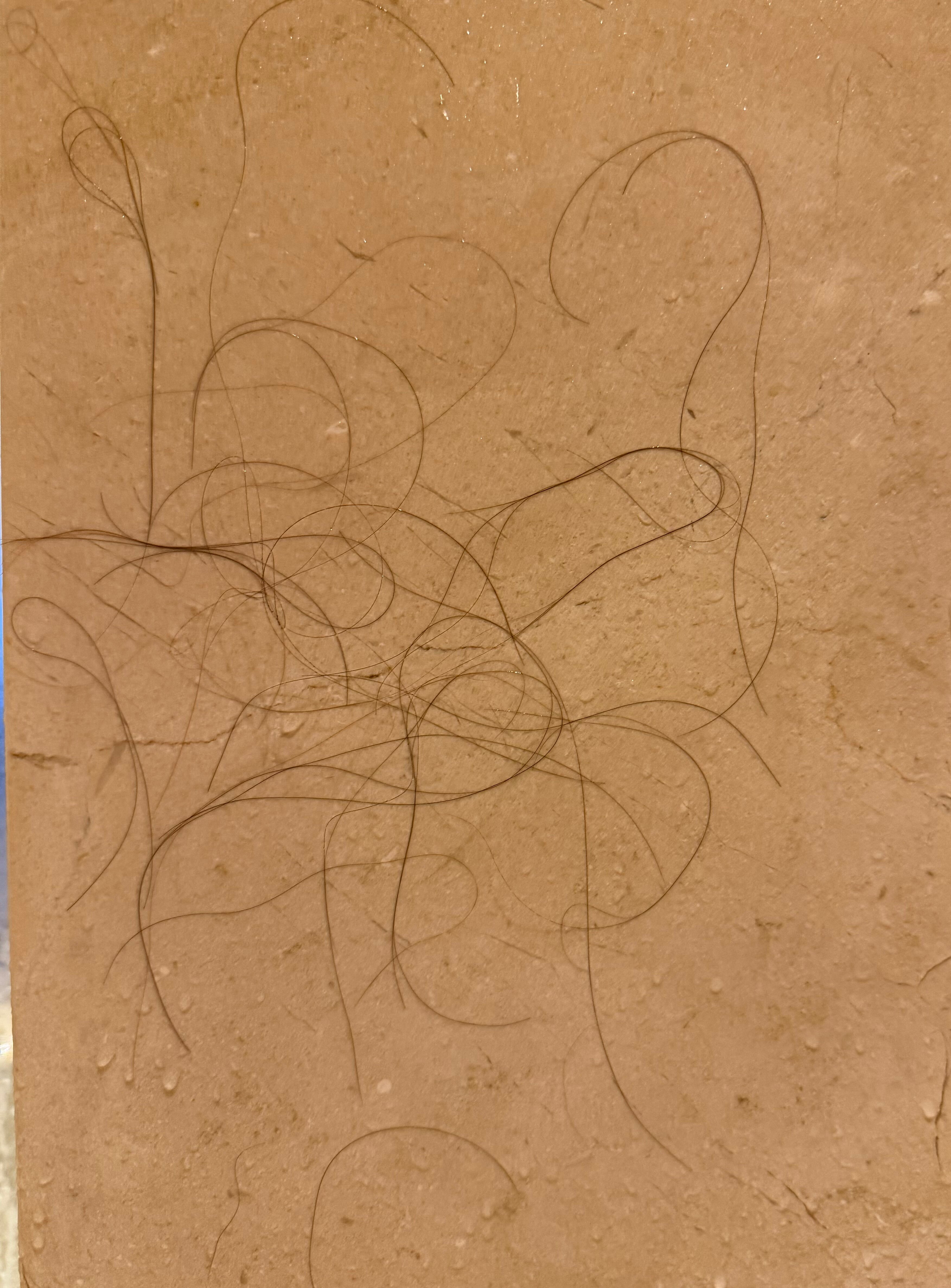 悉尼凯悦花园酒店-浴室