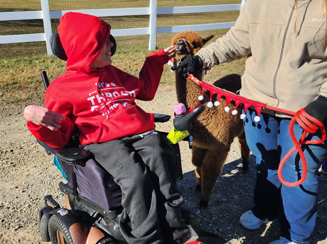 Winchester Creek Farm-韦恩斯维尔必去景点
