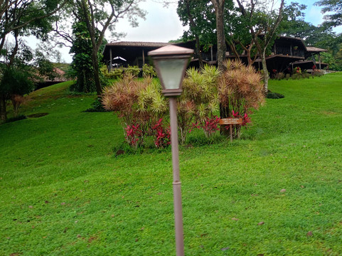 Red Pacific Sunset - Alex Tours-波特雷罗必去景点