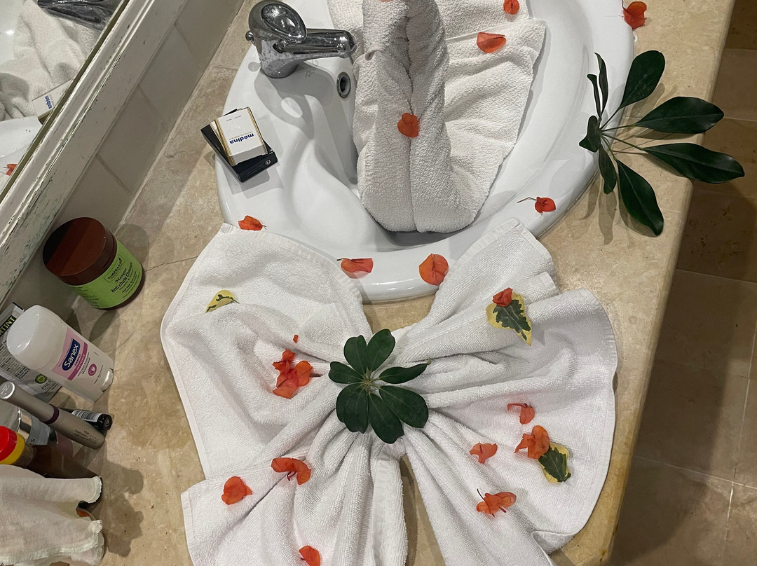 亚尔雷迪纳酒店主图