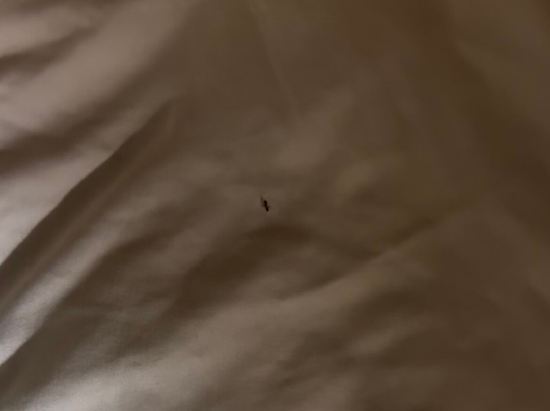 Comfort Inn Birmingham - Irondale主图