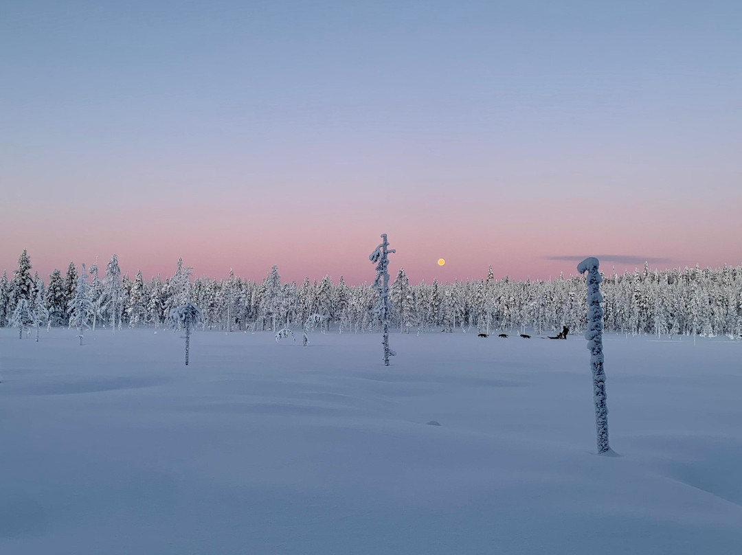 Powerun Adventures-Kolari必去景点