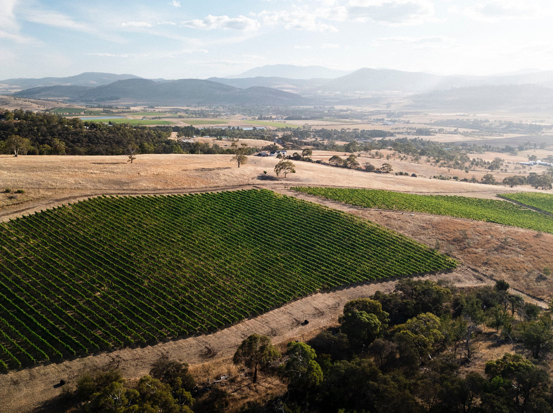 Caledon Estate-Richmond必去景点